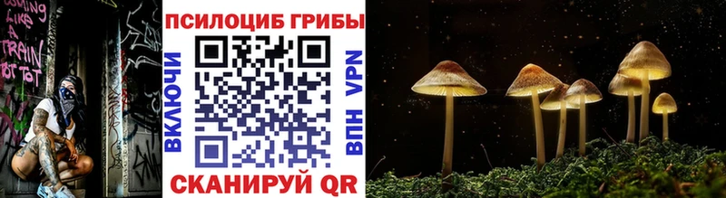 Галлюциногенные грибы мухоморы Буйнакск