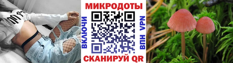 цены наркотик  Буйнакск  Галлюциногенные грибы мицелий 